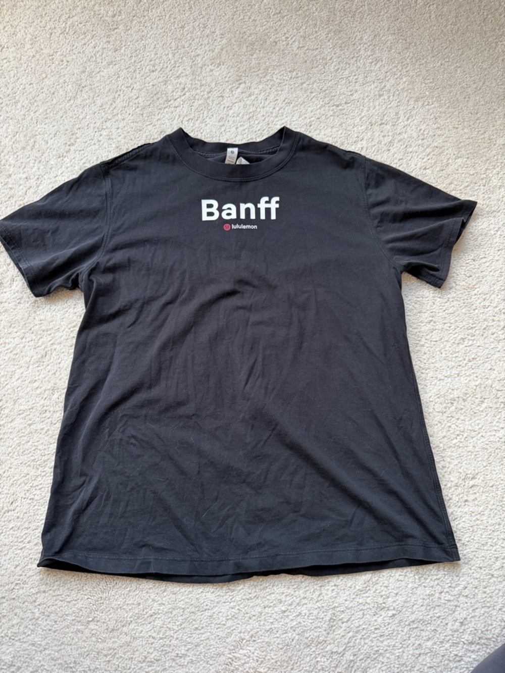 Banff Lululemon All Yours Tee Sz 4